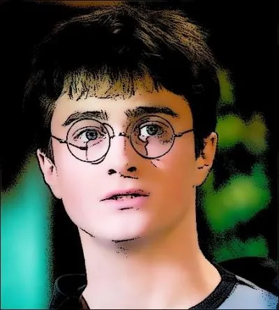 Dans quelle maison de Poudlard Harry aurait-il aussi eu sa place ?