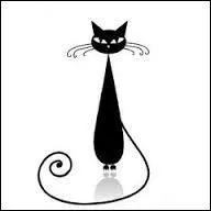 Comment s'appelle l'animal qui porte malheur s'il est tout noir ?