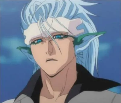 Quel est son zanpakuto ?