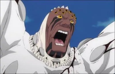 Quel est son zanpakuto ?