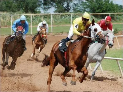 Quelle est l'allure du cheval sur l'image ?