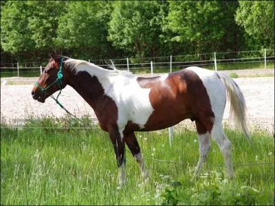 Comment s'appelle le grand site de l'équitation (les initiales ) ?