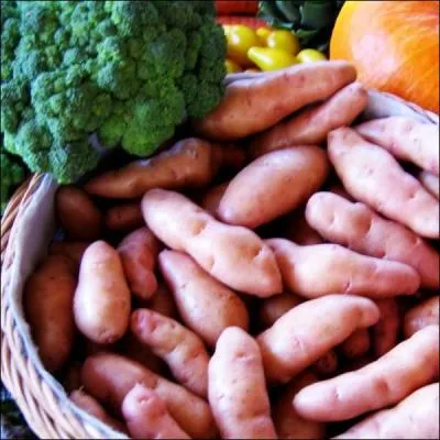 En wallon, cette excellente patate s'appelle la "quen di gate". Quelle est la traduction française de "quen di gate" ?