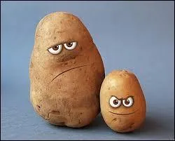 Que signifie l'expression "En avoir gros sur la patate" ?