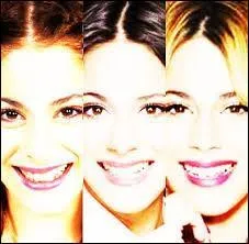 Dans quel ordre ces photos sont-elles par rapport aux saisons ?