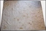 De quelle couleur est ce tissu de soie brute ?