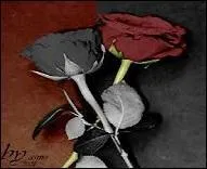 Quand le naturel se fait physiologique, il est ----------.