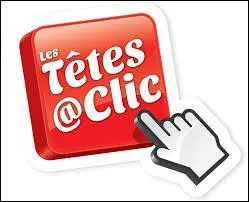 Vous avez répondu naturellement à ces questions. Autrement dit, vous avez cliqué --------.