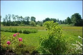 Redescendons sur le plancher des vaches. Là, nous respirons l'air de la ---------.