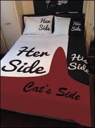 Par quoi le lit mineur d'un cours d'eau est-il délimité ?