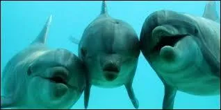 Quel sens a-t-il en plus ou moins ?