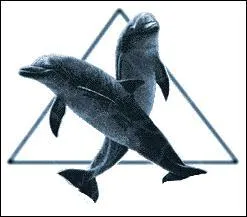 Quel est le pire ennemi du dauphin ?