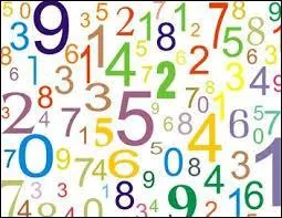 Combien la collection "Tintin" compte-t-elle de BD ? (en plus de "Tintin et l'Alph-Art")