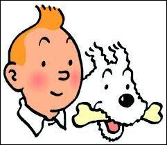 Quiz Tintin