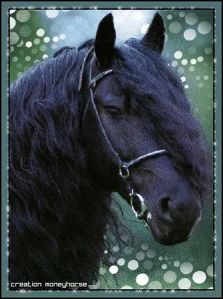 Lady Louise est la jument amie de :