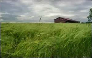 Le temps est couvert, et ici, il paraît -----.