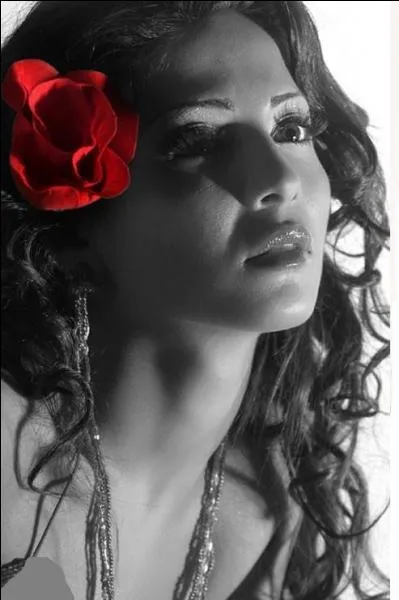 Qui nous a chanté "La femme chocolat" ?