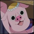 Quiz One piece
