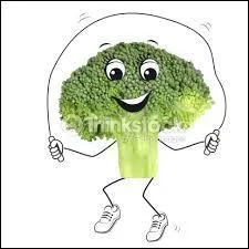 Jour 12 : variété de chou originaire du sud de l'Italie.