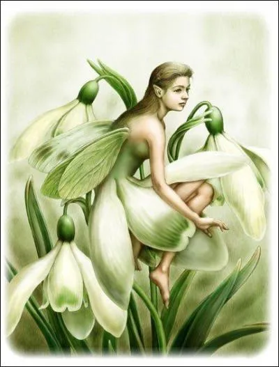 Jour 4 : plante qui pousse et fleurit en hiver.