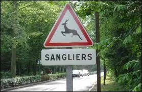 Ce panneau ne laisse planer aucun doute, vous êtes revenu dans la partie francophone du pays ! Vous avez bien fait de suivre "Borgworm" qui n'est autre que...