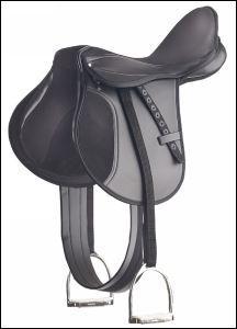 Quiz Chevaux