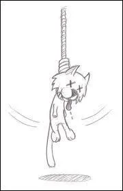 Dans quelle catégorie un quiz intitulé "Les chats morts dans LGDC" doit-il se trouver ?