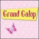 Dans quelle catégorie faut-il mettre les quiz "Grand Galop" ?