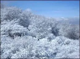 Quel roi ajoute le mois de fvrier dans le calendrier romain ?