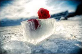 Dans les années standards, combien de jours le mois de février compte-t-il ?