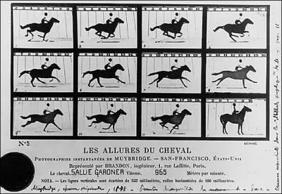 Combien le cheval a-t-il d'allures ?