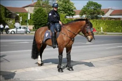 Qu'est-ce que la police montée ?