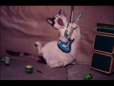 Quels sont les métiers artistiques animaliers ?