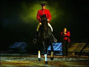 Comment devient-on Officier des Haras ?