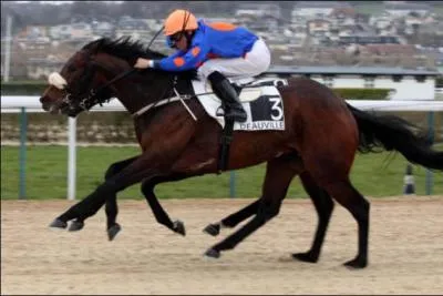 Pour devenir jockey, il faut à la fois être léger et grand.