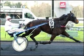 Comment appelle-t-on le pilote du sulky (petite voiture à laquelle le cheval est attelé) lors des courses de trot attelé ?