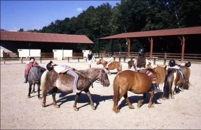 Que fait l'animateur poney ?