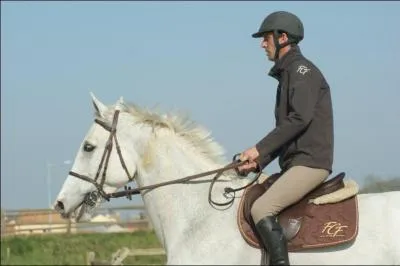 Quels diplômes dois-je avoir pour pouvoir être assistant animateur technicien poney ou animateur soigneur assistant mention équitation ?
