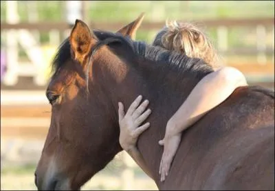 L'équithérapeute et l'équicien sont des médecins pour chevaux. Ils soignent surtout les maladies du pied et du cerveau.