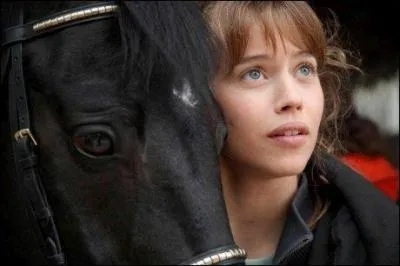 Qu'est-ce qu'un groom ?