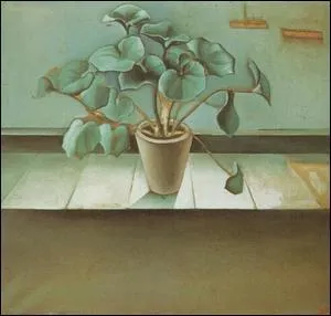 Qui a peint  Plante  ?