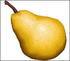 "La pierre était froide, grumeleuse et si friable que des morceaux restaient collés contre ma peau". Qu'entend-on par "grumeleux" ?