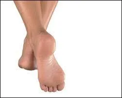 Laquelle de ces personnes n'a pas &eacute;crit le livre "Le Livre du pied et de la Marche" ?