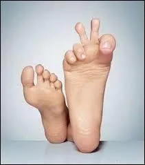 Un pied est &eacute;gal &agrave; :