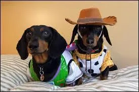 Ils font partie de...