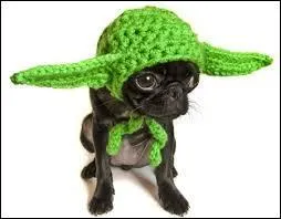 Ce chien qui affronte les forces du mal est :