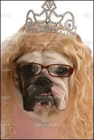 Cette princesse magnifique est...