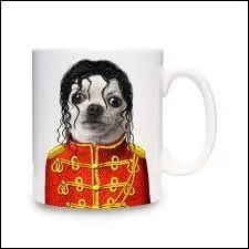 La star de la pop est...