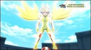 A quel "Esprit Guerrier" appartient cette armure ?