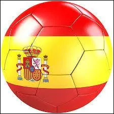 Qui a gagné la Coupe du monde 2010 ?